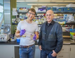 Ionic Liquid Resistance Mechanism to Advance Biofuel Production Thomas Ruegg (left) and Michael Thelen led a JBEI team that successfully introduced an ionic liquid resistance into a strain of E. coli for the production of advanced biofuels