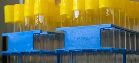 Engineered Bacterium to Produce Rocket Fuel By placing colonies of E. coli engineered to produce pinene into test tubes containing glucose, researchers were able to determine which enzyme combinations produced the hydrocarbon most efficiently
