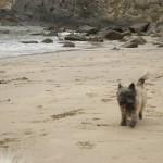 From sit-up to slip-up Wilson in happier days