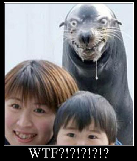 WTF? WTF?