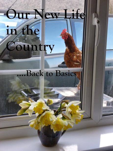 Too Big for My Blog? Too Big for My Blog?