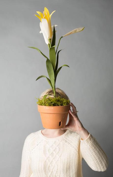 Potted paper Easter lily