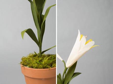 Potted paper Easter lily