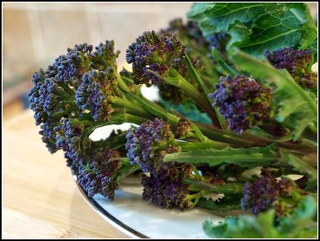 Harvesting the first PSB Harvesting the first PSB