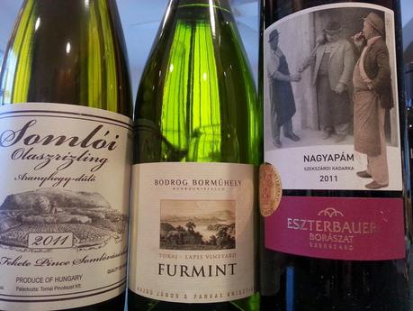 A Taste of Hungarian Wines