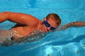 Go swimming - Gym Workouts 