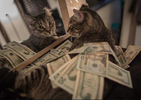 Cat looking in the mirror with loads of money The World’s Top 10 Best Images of Cats With Money