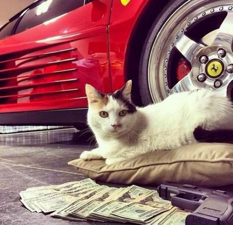 Cat with lots of money and a car The World’s Top 10 Best Images of Cats With Money