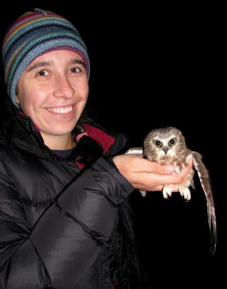 presque isle state park owl banding
