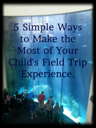 5 Simple Ways to Make the Most of Your Child's Fieldtrip - simple strategies