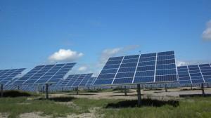 solar farm management 