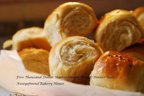 Five Thousand Dollar Starter Dough: Dinner Rolls