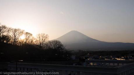 Japan March 2014: Road Trip from Kyoto back to Tokyo + Sakura in Nagoya!