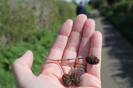 Different Views Different Views