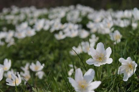 Different Views Different Views