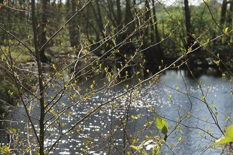 Different Views Different Views