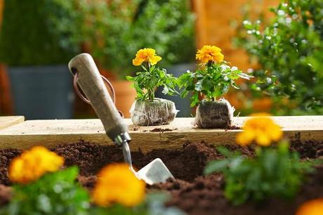 Make your garden even greener with B&Q*