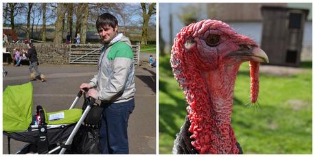 First trip to Hall Hill Farm, Lanchester, Co Durham