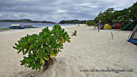 Back to Basics in Calaguas