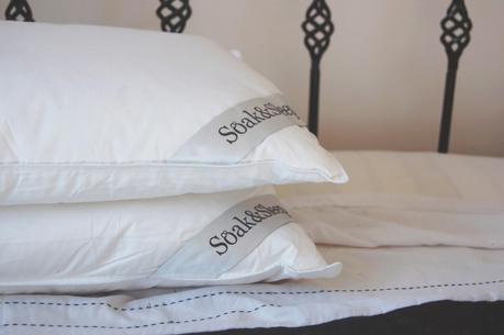 Review | Soak & Sleep Pillows