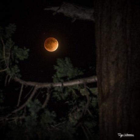 total-lunar-eclipse-april-15-2014-ryan-watamura-3