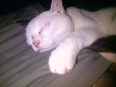 an instant of life captured for eternity ( Photo dump) Image