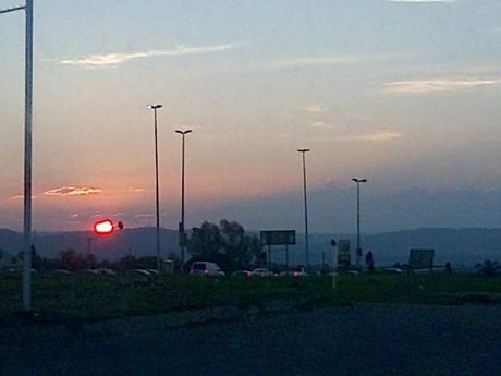 an instant of life captured for eternity ( Photo dump) Image