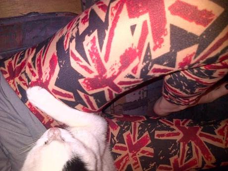 an instant of life captured for eternity ( Photo dump) Image