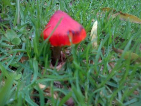 an instant of life captured for eternity ( Photo dump) Image