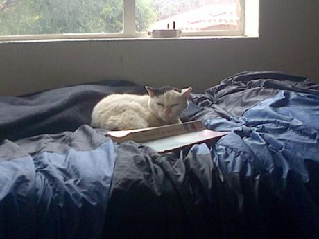 an instant of life captured for eternity ( Photo dump) Image