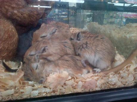 an instant of life captured for eternity ( Photo dump) Image