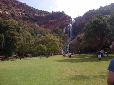 an instant of life captured for eternity ( Photo dump) Image