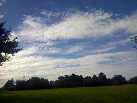 an instant of life captured for eternity ( Photo dump) Image