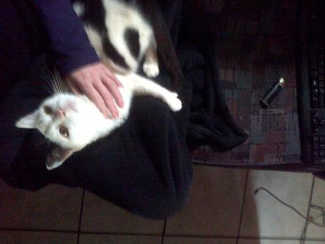 an instant of life captured for eternity ( Photo dump) Image