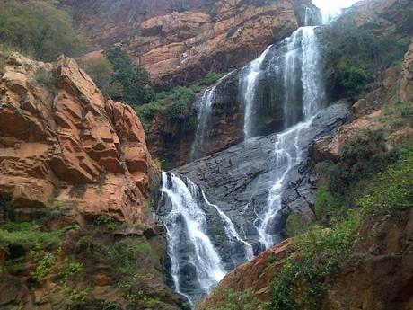 an instant of life captured for eternity ( Photo dump) Image