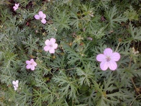 an instant of life captured for eternity ( Photo dump) Image