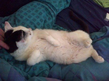 an instant of life captured for eternity ( Photo dump) Image