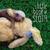 Autumn bliss: home-made soup and book talk… A Little Book of Sloth