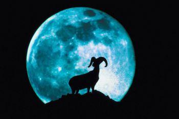 aries moon, horoscope