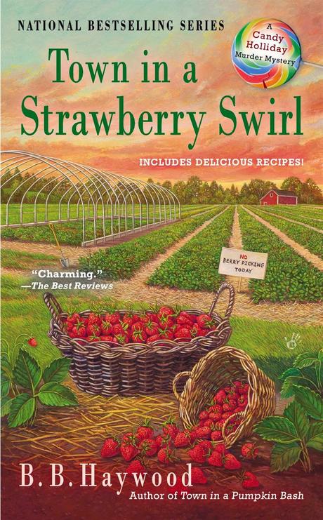 Review:  Town in a Strawberry Swirl by B.B. Haywood