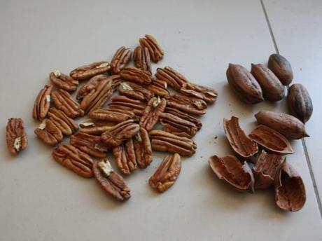 Papershell pecans