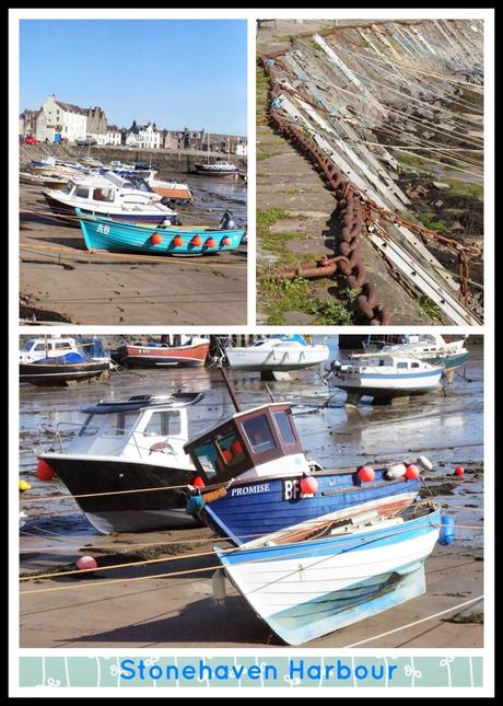 Stonehaven harbor collage - 'growourown.blogspot.com' ~ An allotment blog