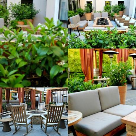 The Andaz Napa … A Hip and Vibrant Hotel In Downtown Napa