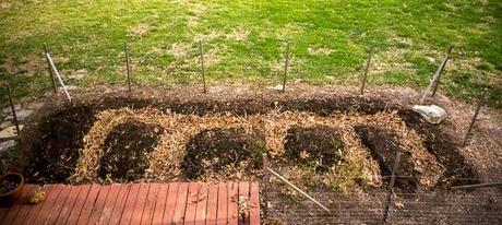 Vegetable Garden 2014 #WeekendCooking #SaturdaySnapshots Vegetable Garden