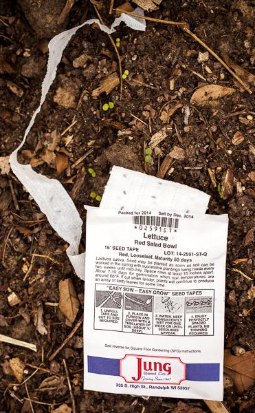 Vegetable Garden 2014 #WeekendCooking #SaturdaySnapshots Lettuce seed tape