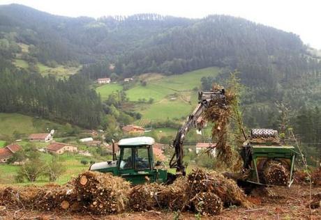 Biomass harvesting e1398432200396