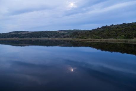 moonlight over aire river cape otway