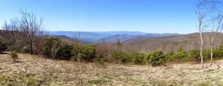 Day 10: Early Spring In The Smokies