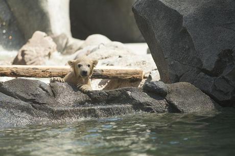 Glam GC: 12 Gold Coast Hangout Spots Fit For The Royals Sea World Resort Gold Coast
