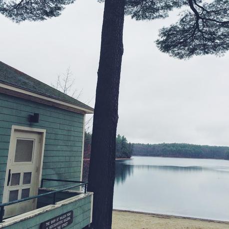 Wilder Pictures: Early Spring at Walden Pond on a Rainy Day